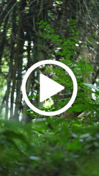 BIB:  <button type="button" onclick="openModal(27921025)" class="btn btn-primary btn-sm float-right" data-toggle="modal" data-target=".modal-high-quality">
                <i class="fa fa-download"></i> Download
                </button>